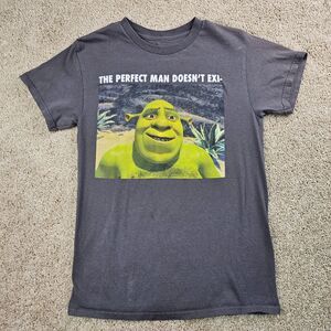 Dream Works Shrek "The Perfect Man" T-Shirt Gray Women's Size Small